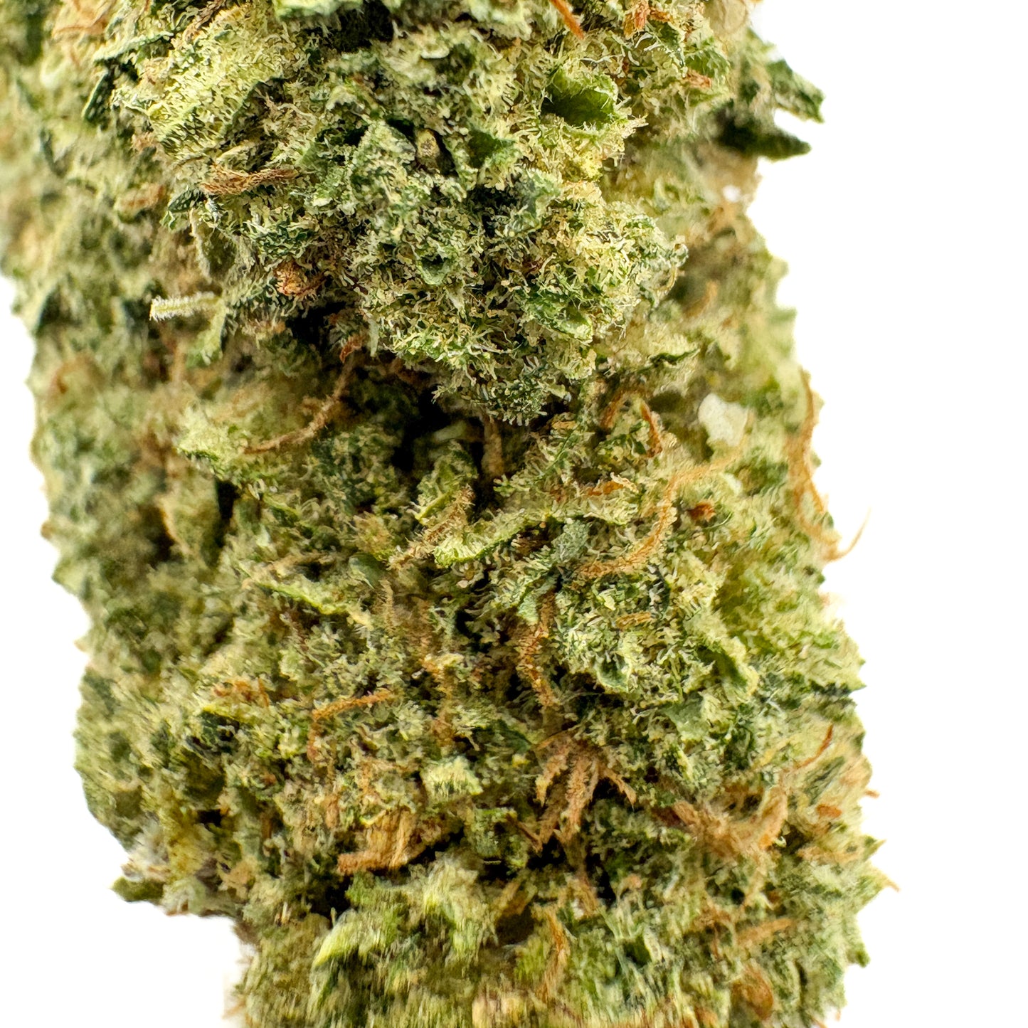 APPLE FRITTER