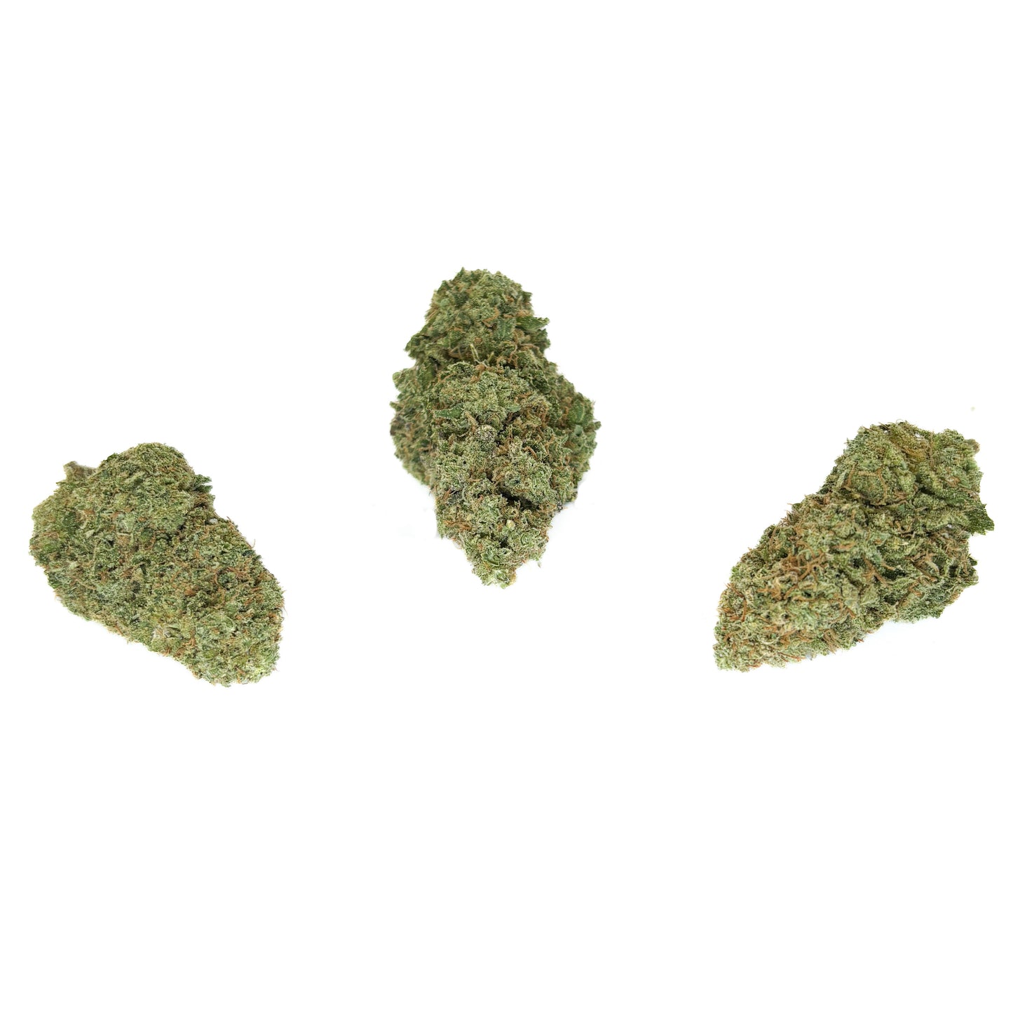 APPLE FRITTER