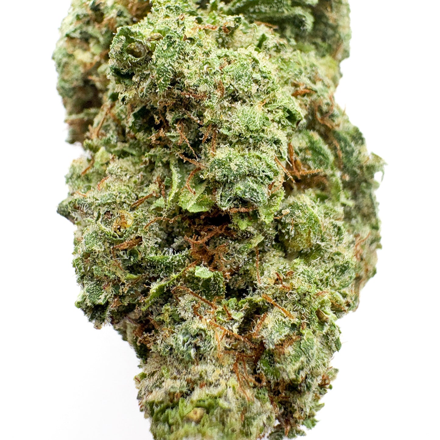 BUBBLEGUM