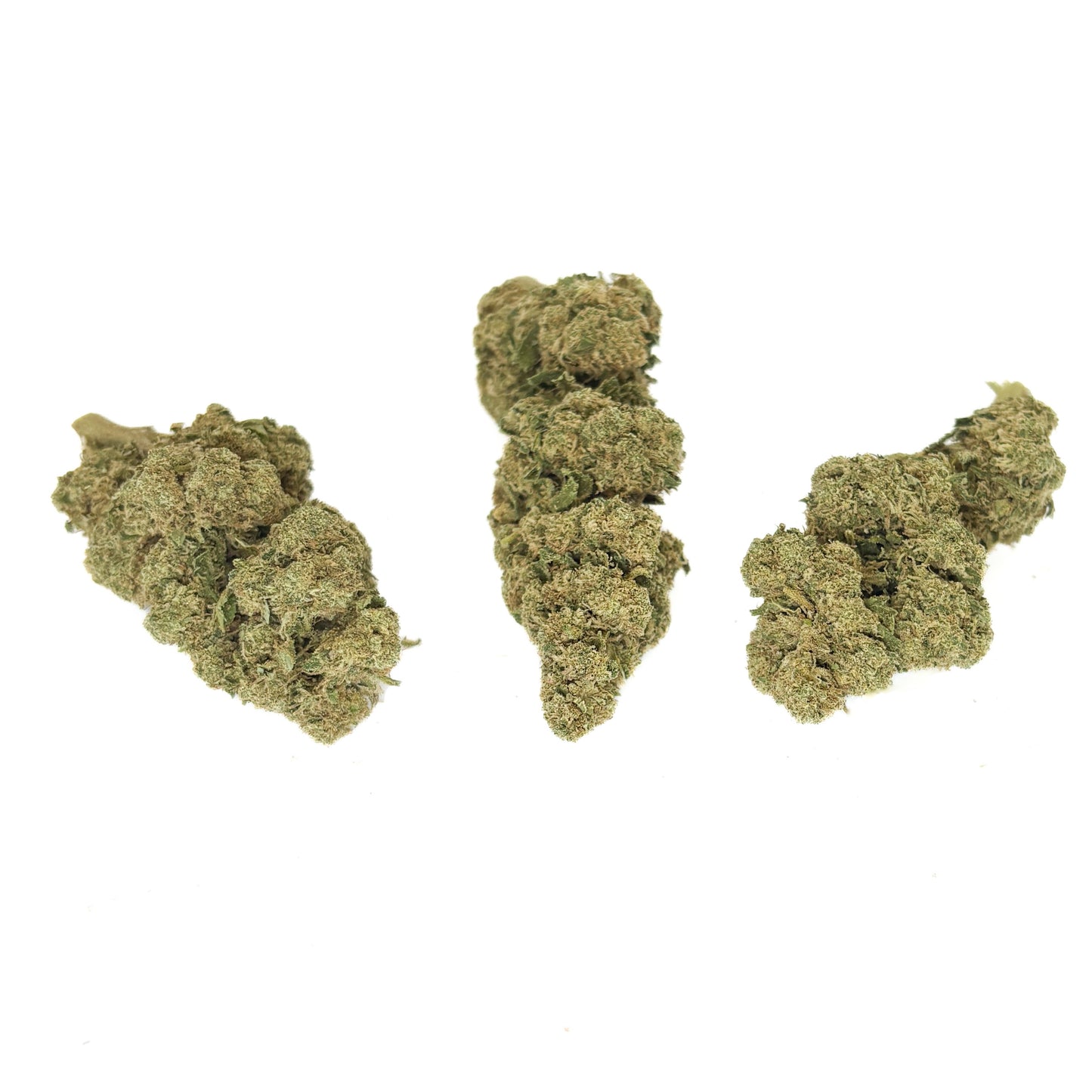 WHITE WIDOW