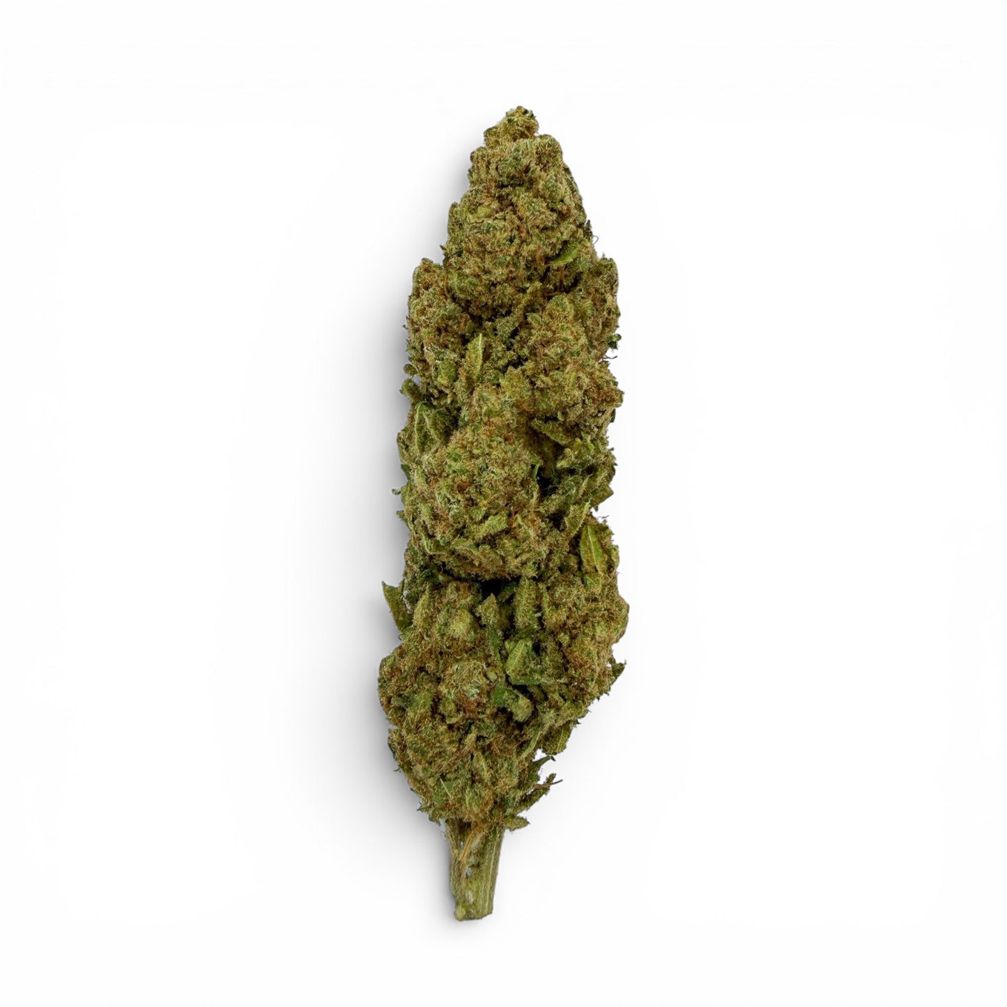 ORIGINAL HAZE