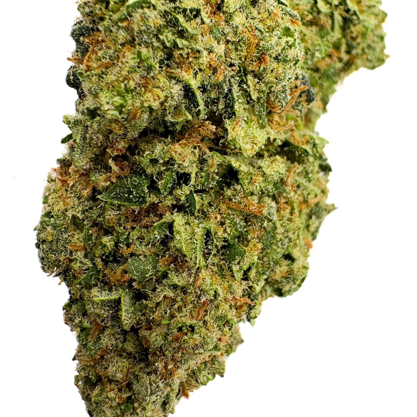 SUPER LEMON HAZE