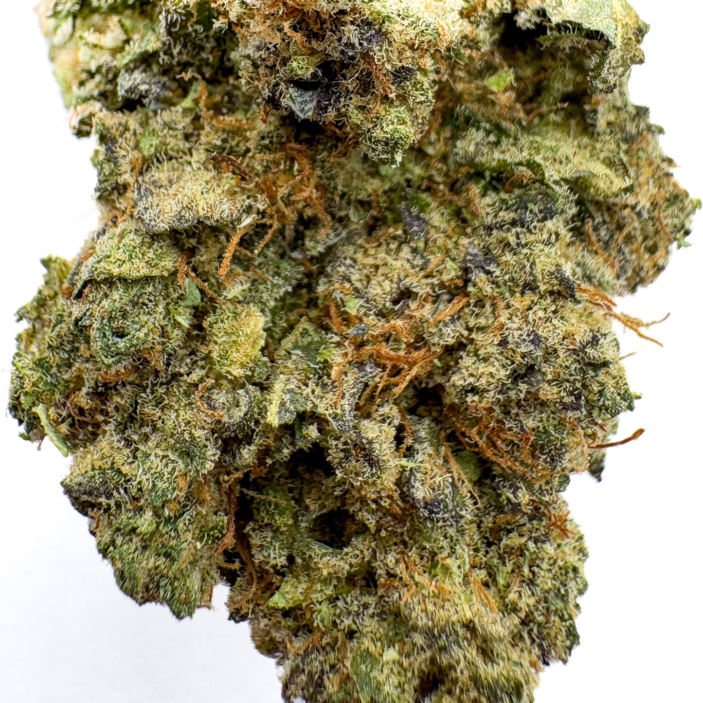 Macro shot of Couch Lock CBD bud – trichome-covered indoor indica with orange hairs and dark greens