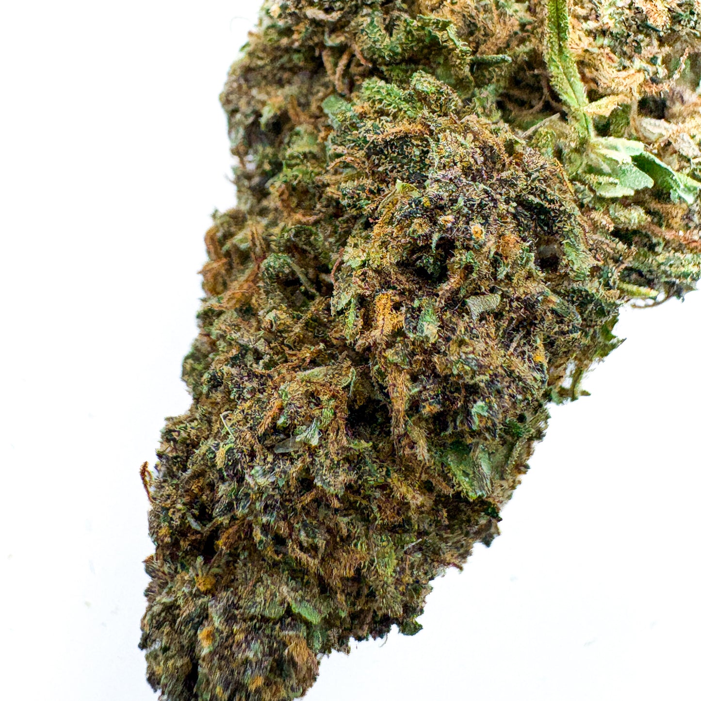 PURPLE ZKITTLES