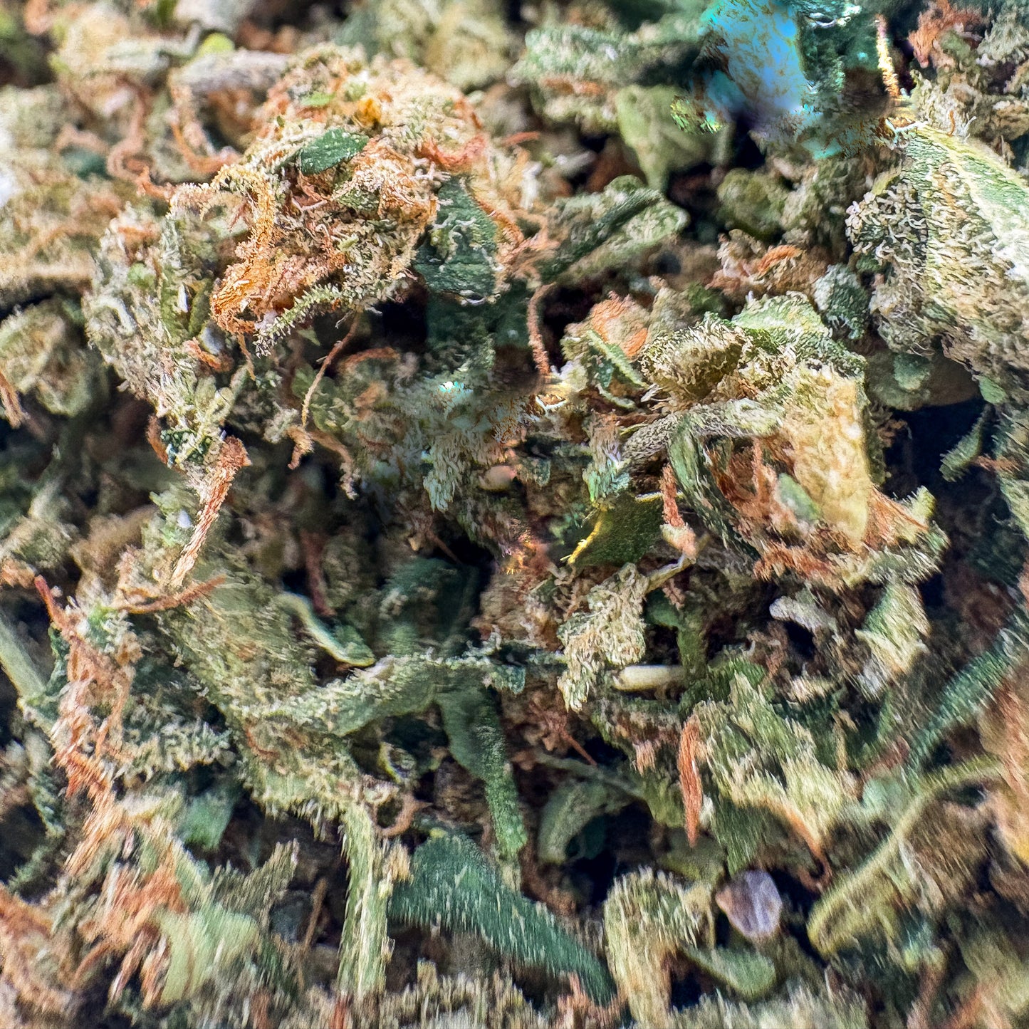SHAKE & SMALL BUDS