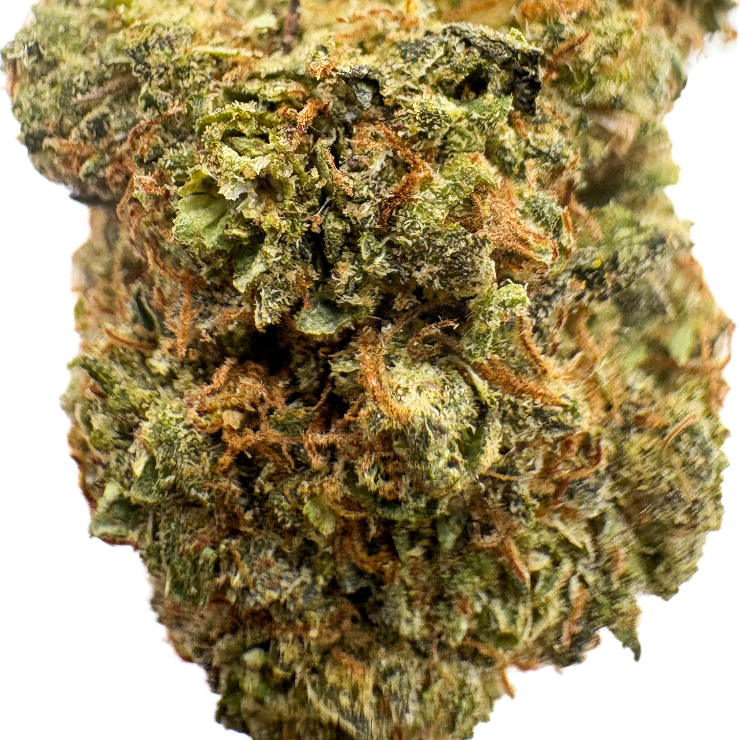 GELATO