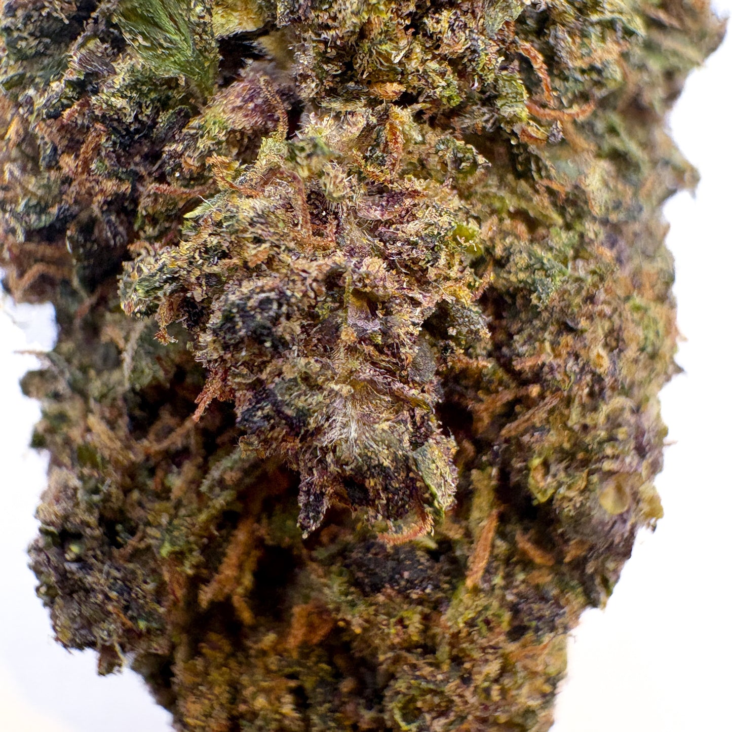 LEGENDARY PLATINUM OG