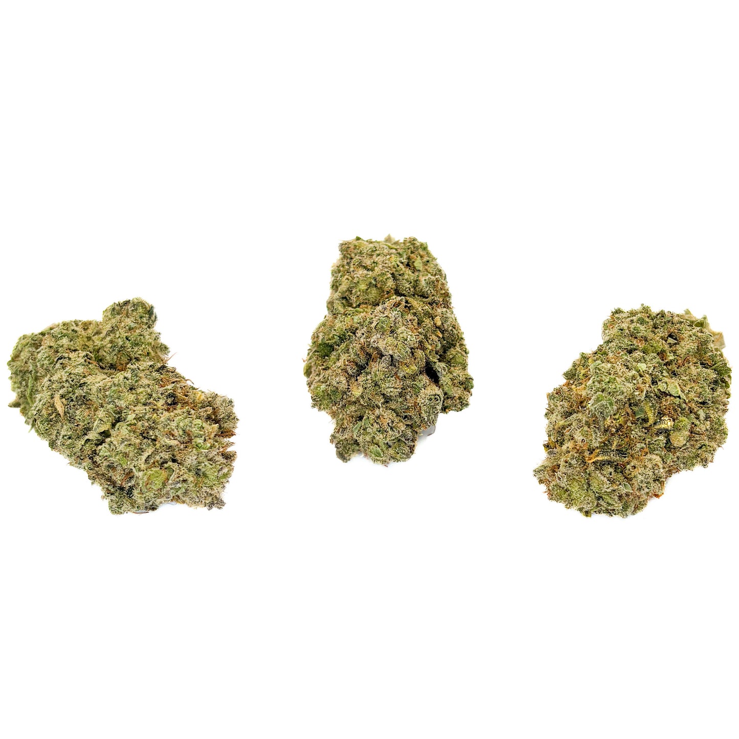 GORILLA GLUE