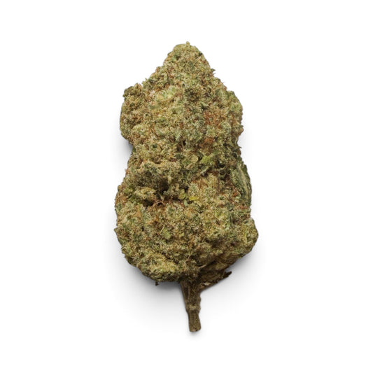 RAINBOW SHERBET
