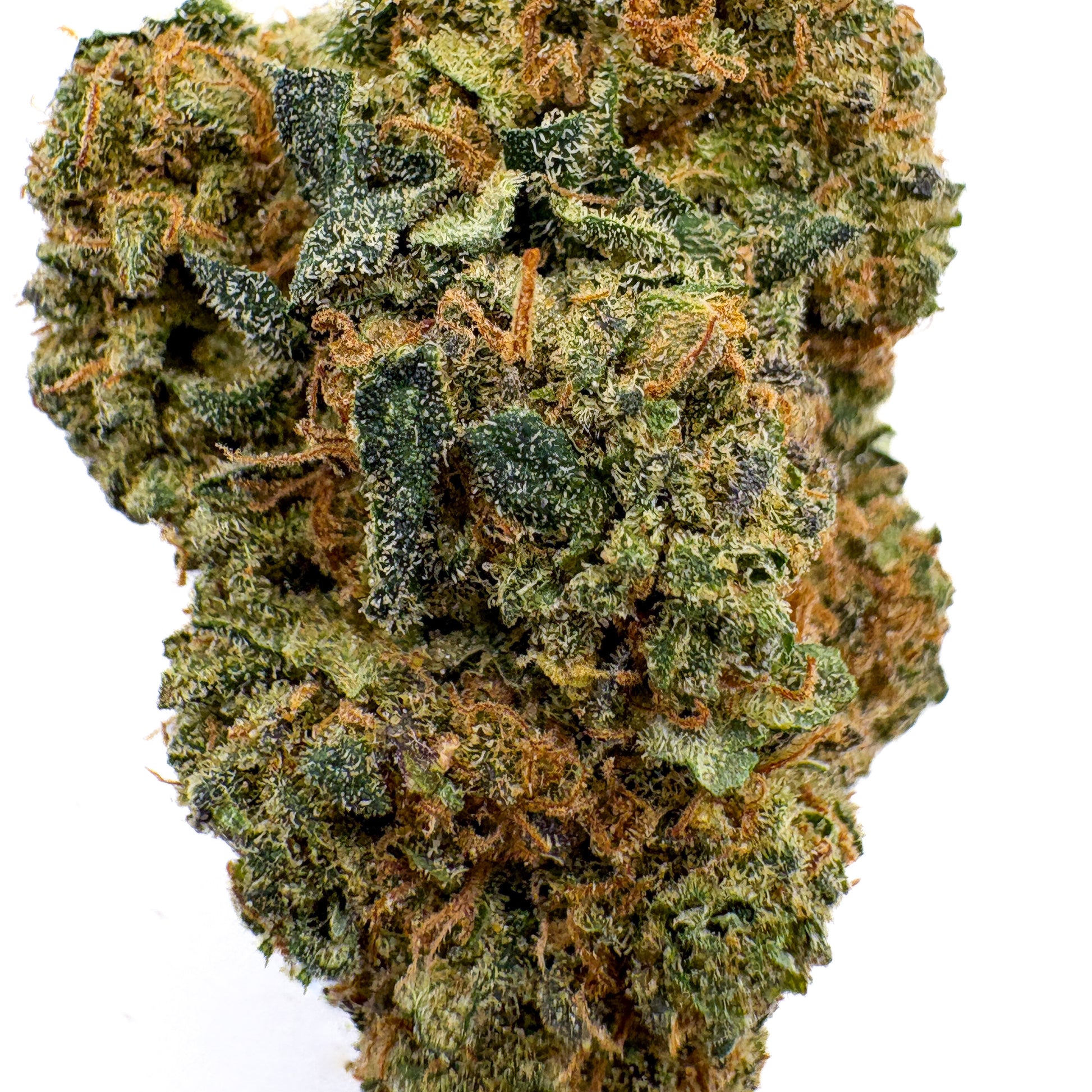 Macro view of Cali Grapes CBD bud – dense, frosty indoor flower with purple and orange hairs