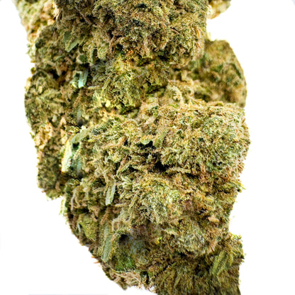 WHITE WIDOW