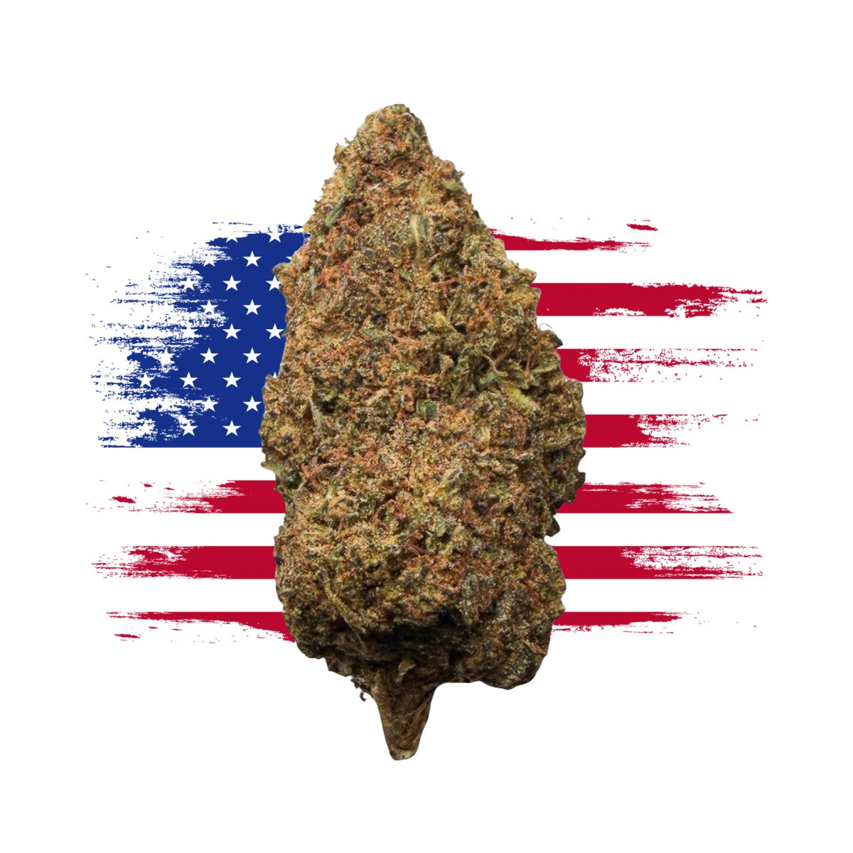 HAWAIIAN HAZE