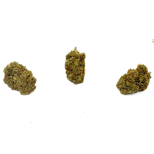 GELATO