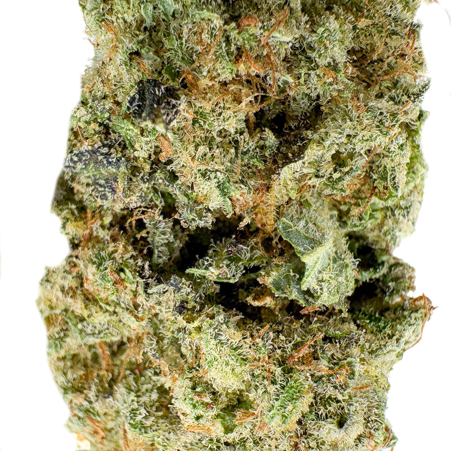 GORILLA GLUE