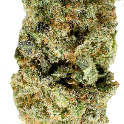 GORILLA GLUE