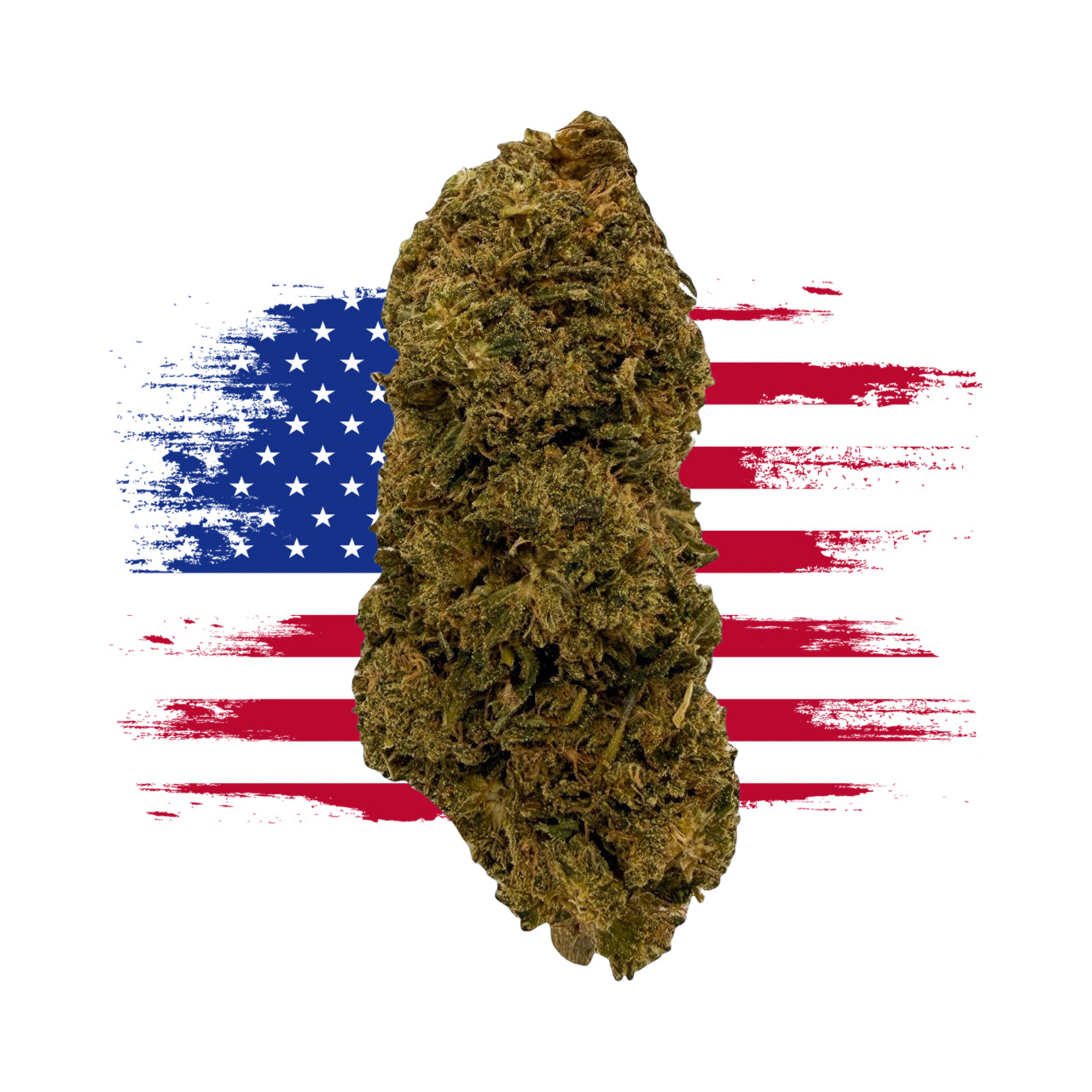 LEGENDARY BANANA MAC