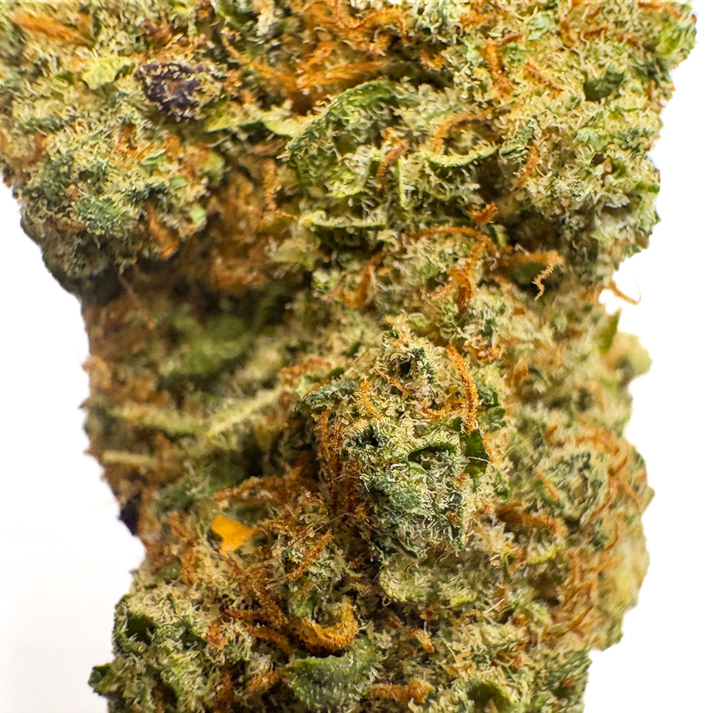 TROPICAL ZKITTLES