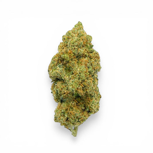 LEMON AMNESIA