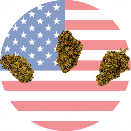 SOUR CHEM