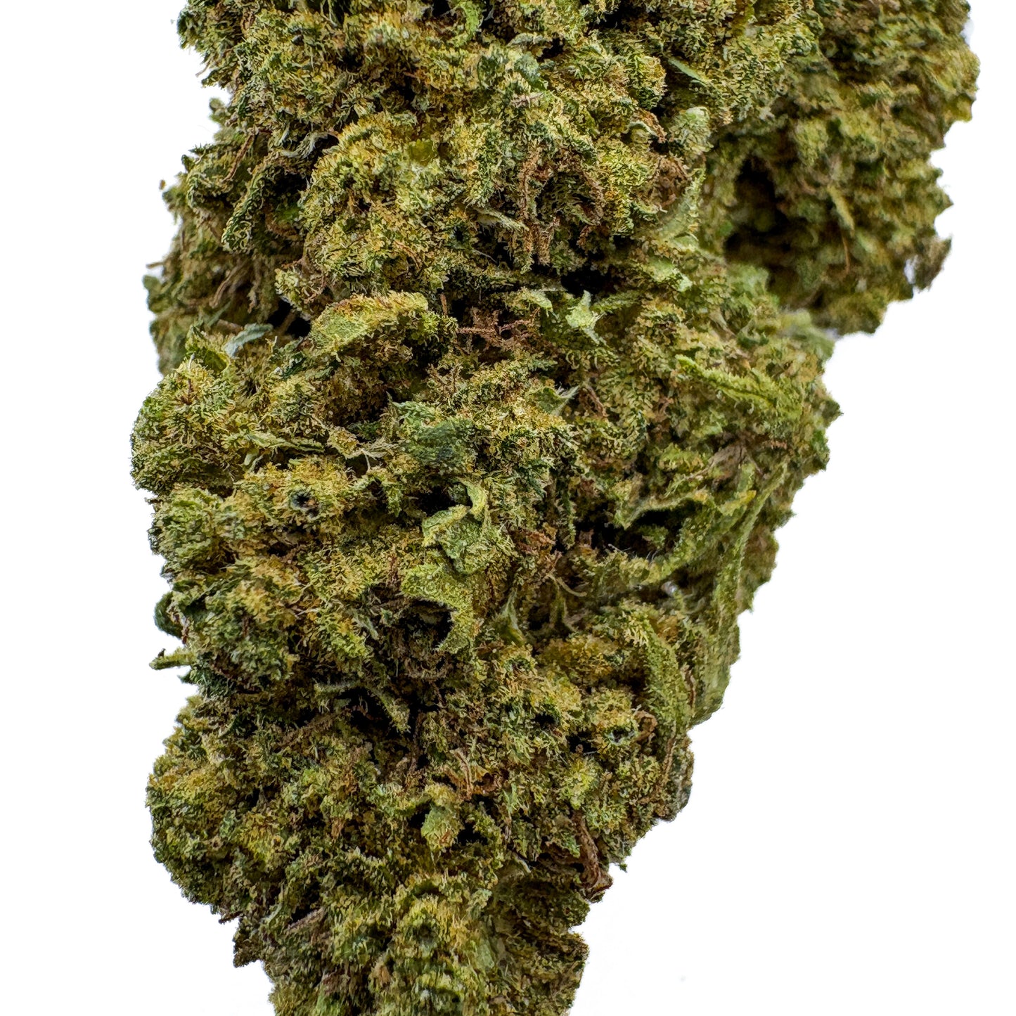 SOUR CANDY