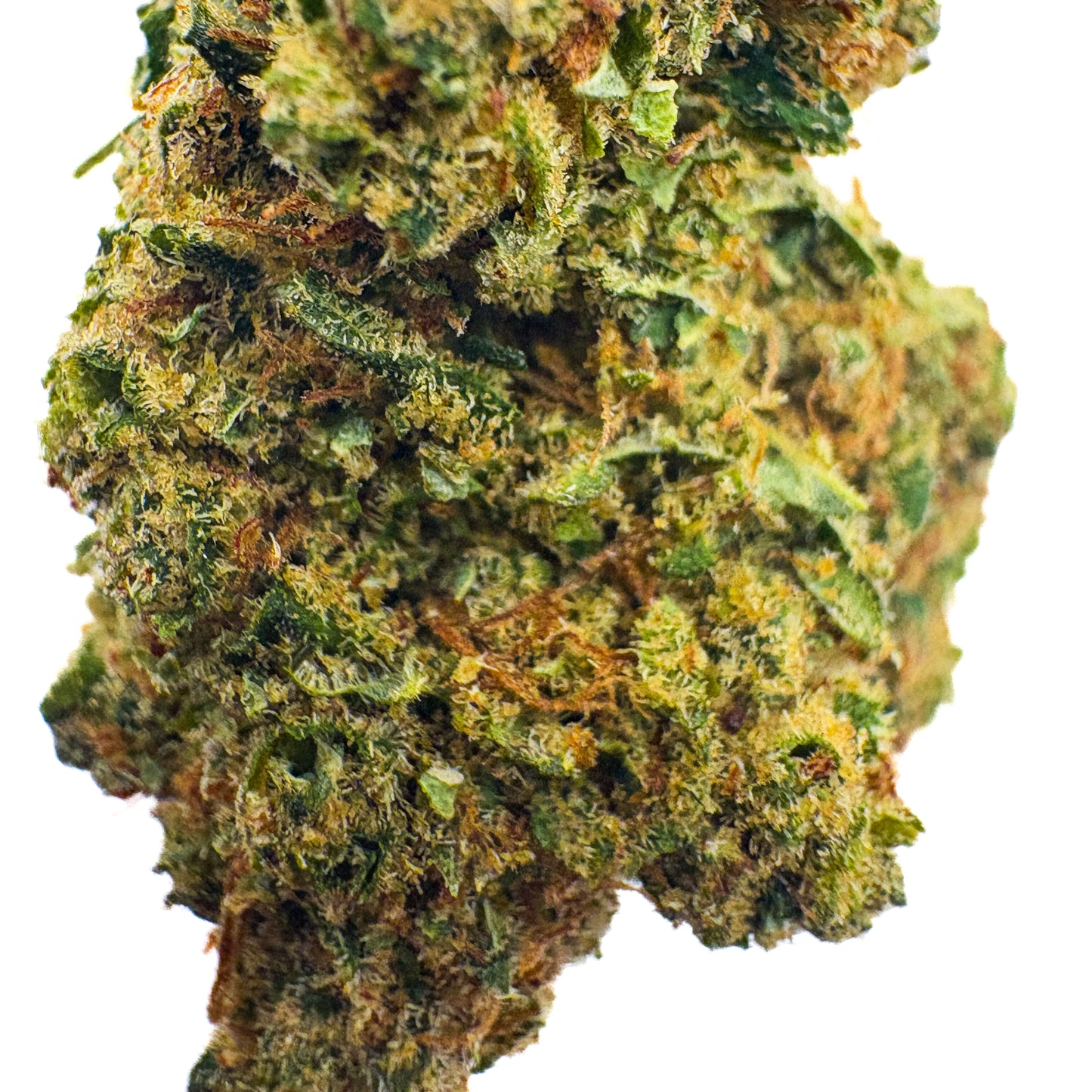 SOUR DIESEL